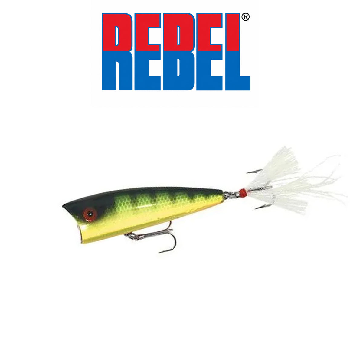 Rebel Zell Rowland Pro Pop-R 2 1/2" 1/4 oz Topwater Popper Fishing Lure