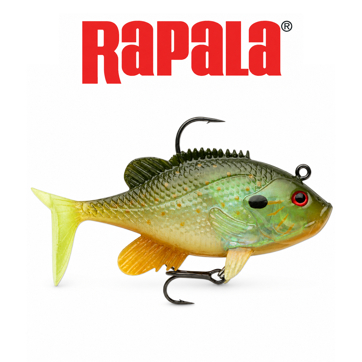 Rapala WildEye Live Premium Realistic Swimbait for Freshwater & Saltwater Fishing