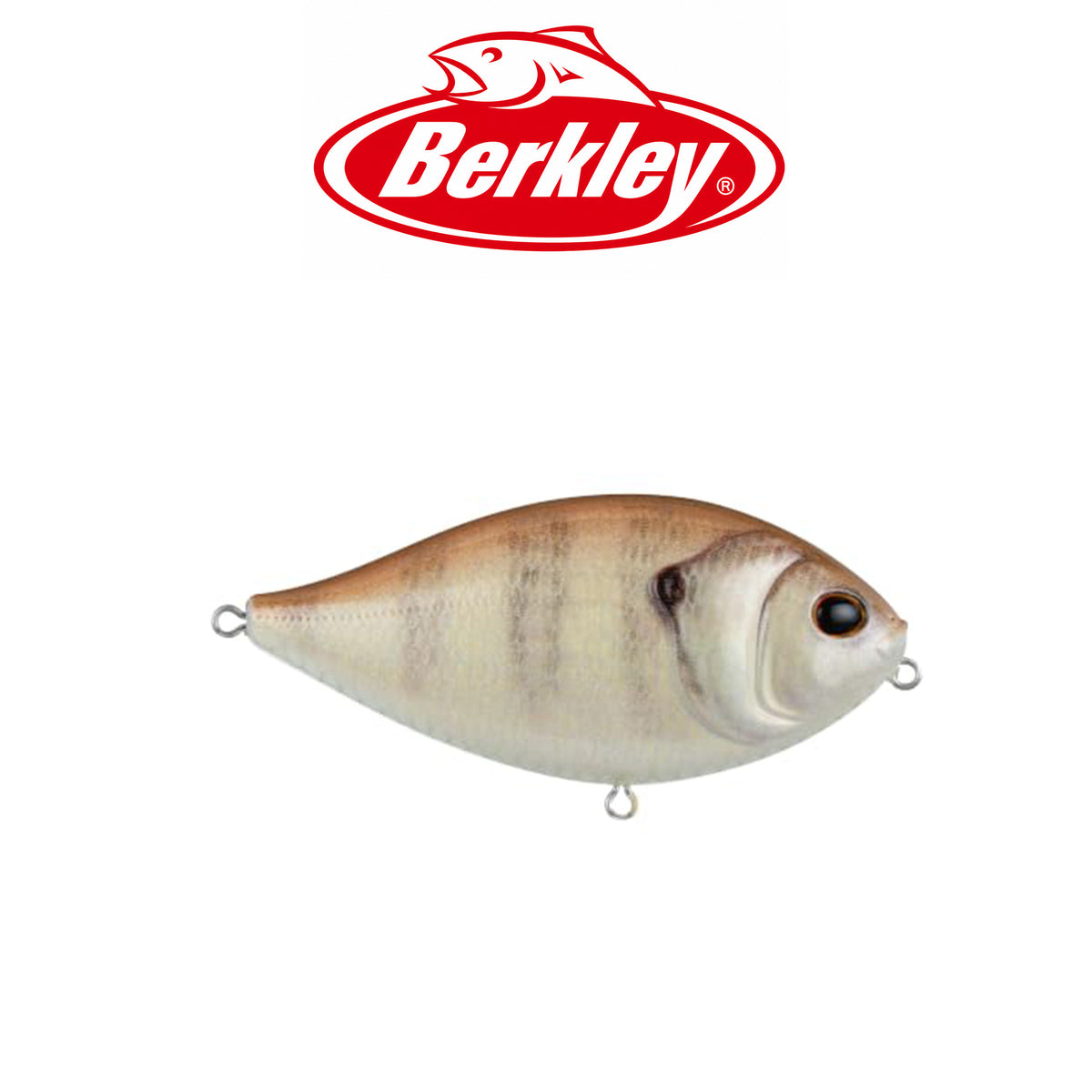 Berkley SlapGill Topwater Fishing Hard Bait 3.1" 3/5 oz