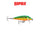 Rapala CountDown Fishing Lure
