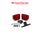 SeaSense Marine Square Trailer Tail Light Kit