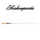 Shakespeare Micro Series Spinning Rod – Lightweight Freshwater Fishing Rod