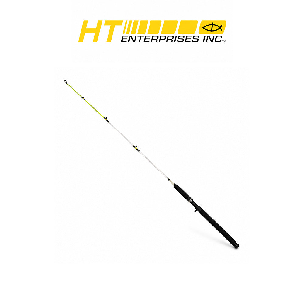 HT Ol' Whiskers 10' 2-Piece Medium/Heavy Spinning Rod