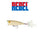 Rebel Magnum Pop-R Lure
