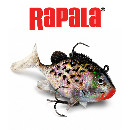Rapala WildEye Live Premium Realistic Swimbait for Freshwater & Saltwater Fishing