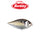 Berkley SlapGill Topwater Fishing Hard Bait 3.1
