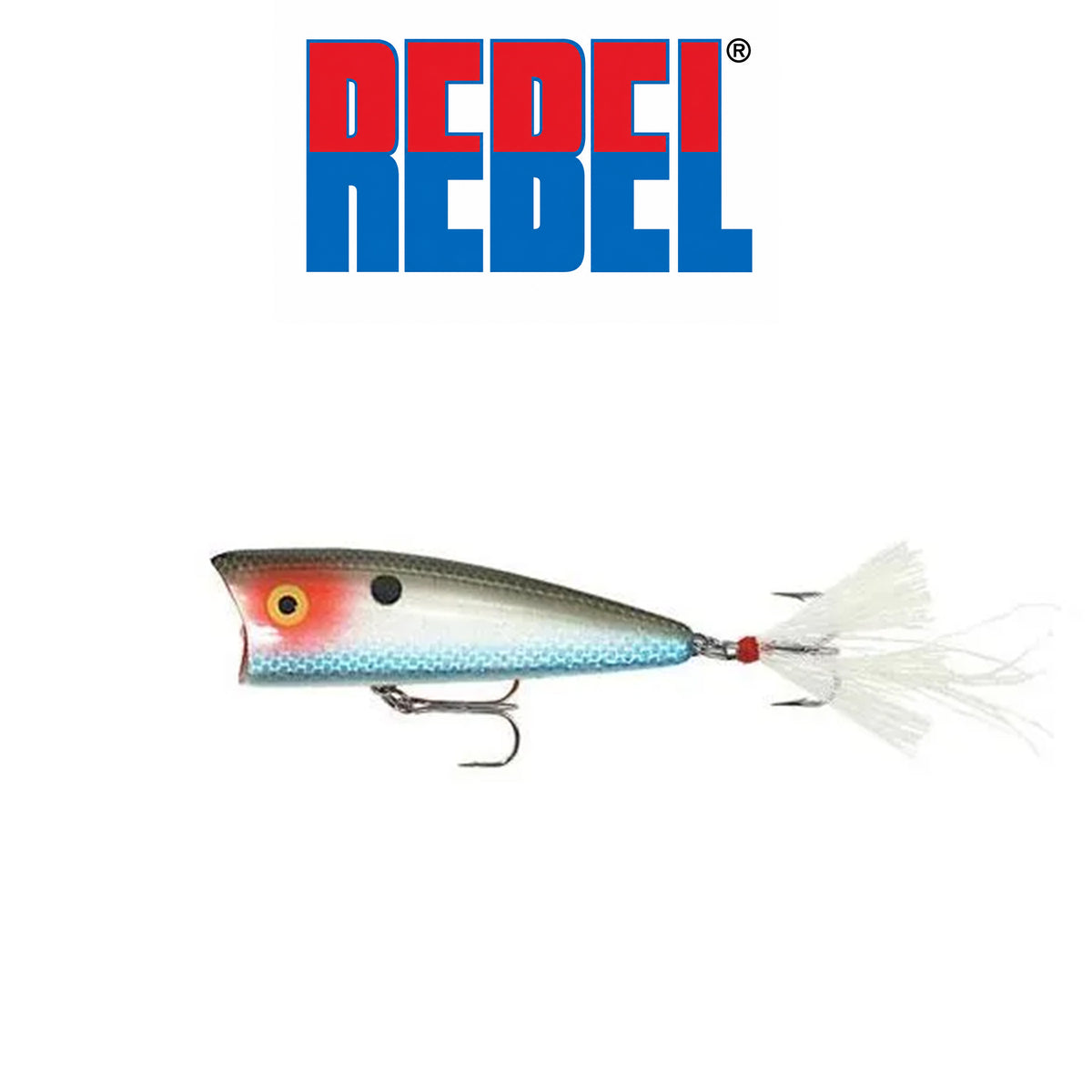 Rebel Zell Rowland Pro Pop-R 2 1/2" 1/4 oz Topwater Popper Fishing Lure