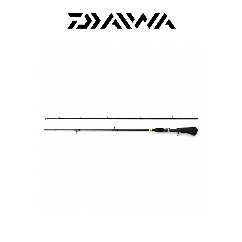 Sweepfire SWD702MFS 2-Piece Rod