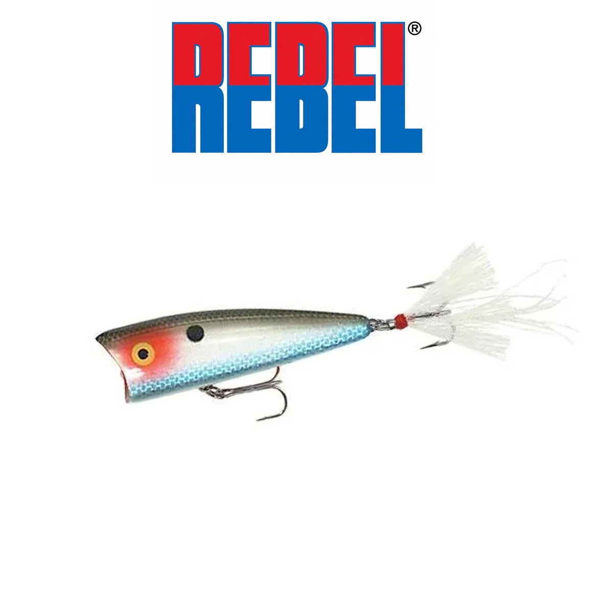 Rebel Zell Rowland Pro Pop-R 2 1/2" 1/4 oz Topwater Popper Fishing Lure