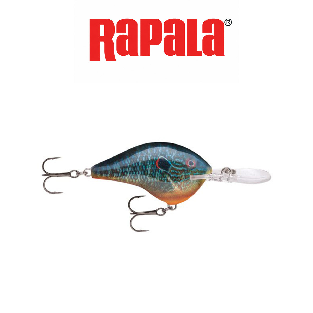 Rapala Dives-To Fishing Lure