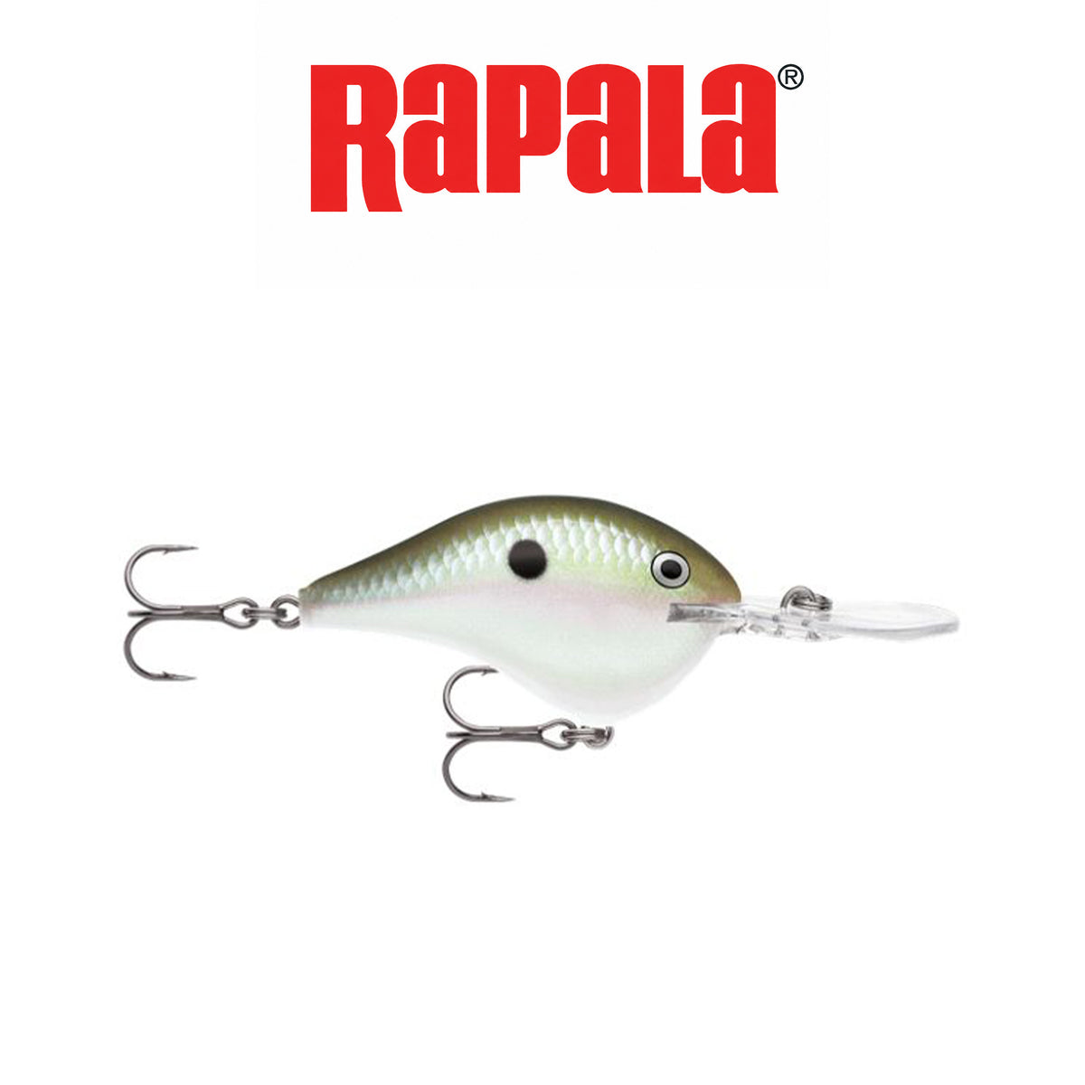 Rapala Dives-To Fishing Lure