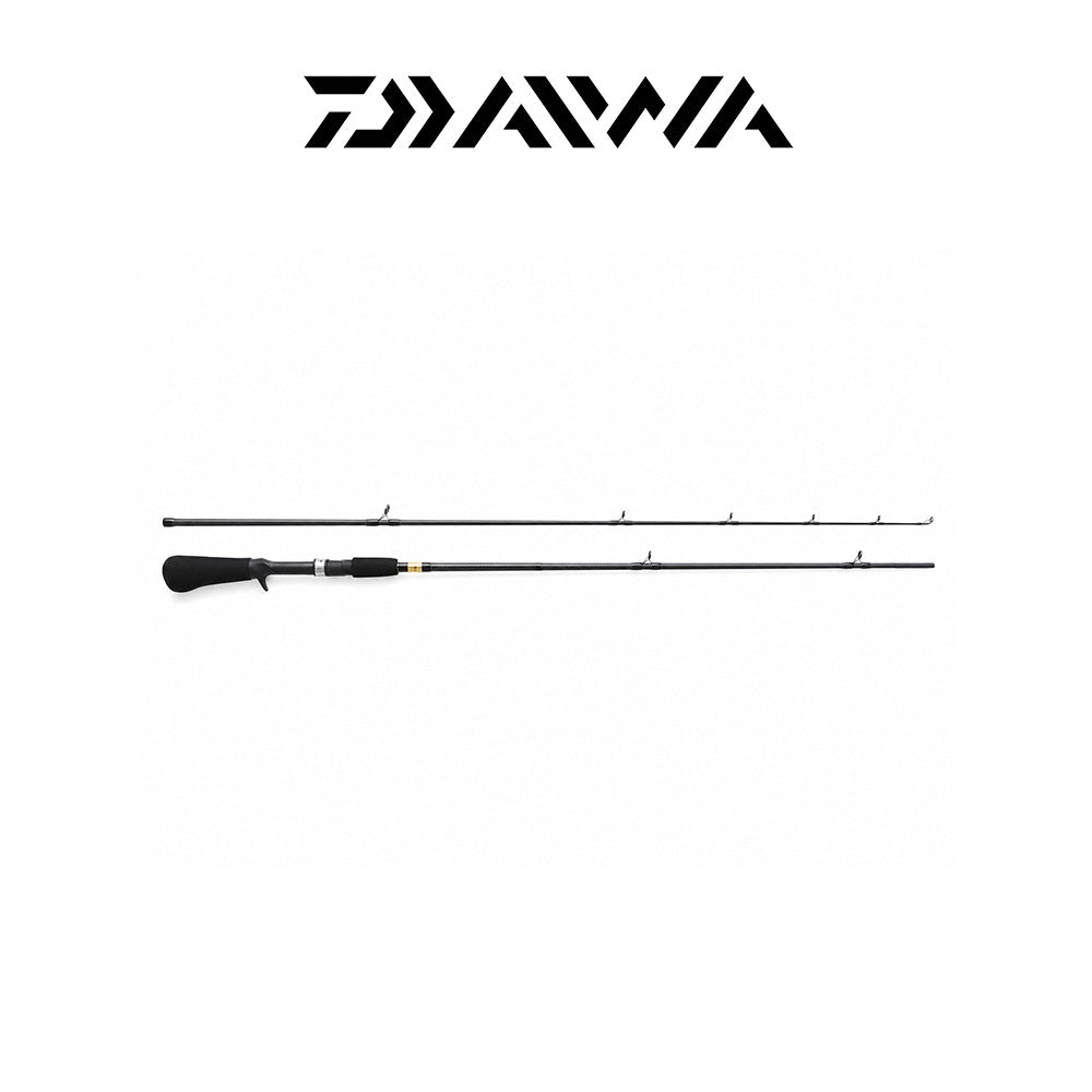 Daiwa Sweepfire 6' 2-Piece Medium/Fast Casting Rod