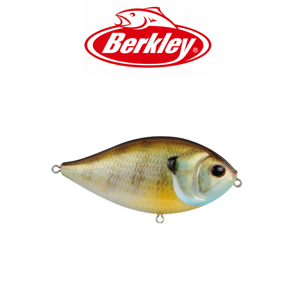 Berkley SlapGill Topwater Fishing Hard Bait 3.1" 3/5 oz