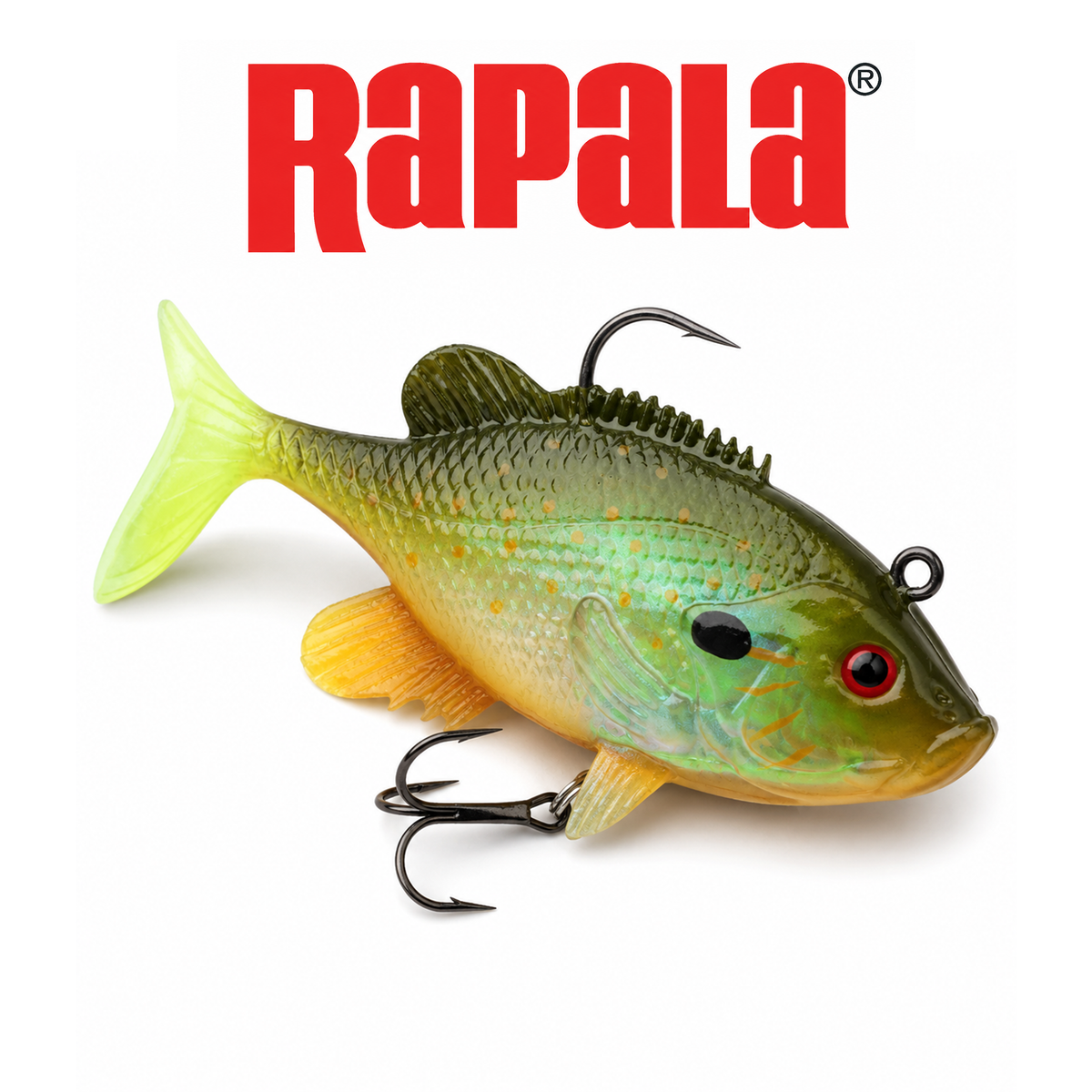 Rapala WildEye Live Premium Realistic Swimbait for Freshwater & Saltwater Fishing