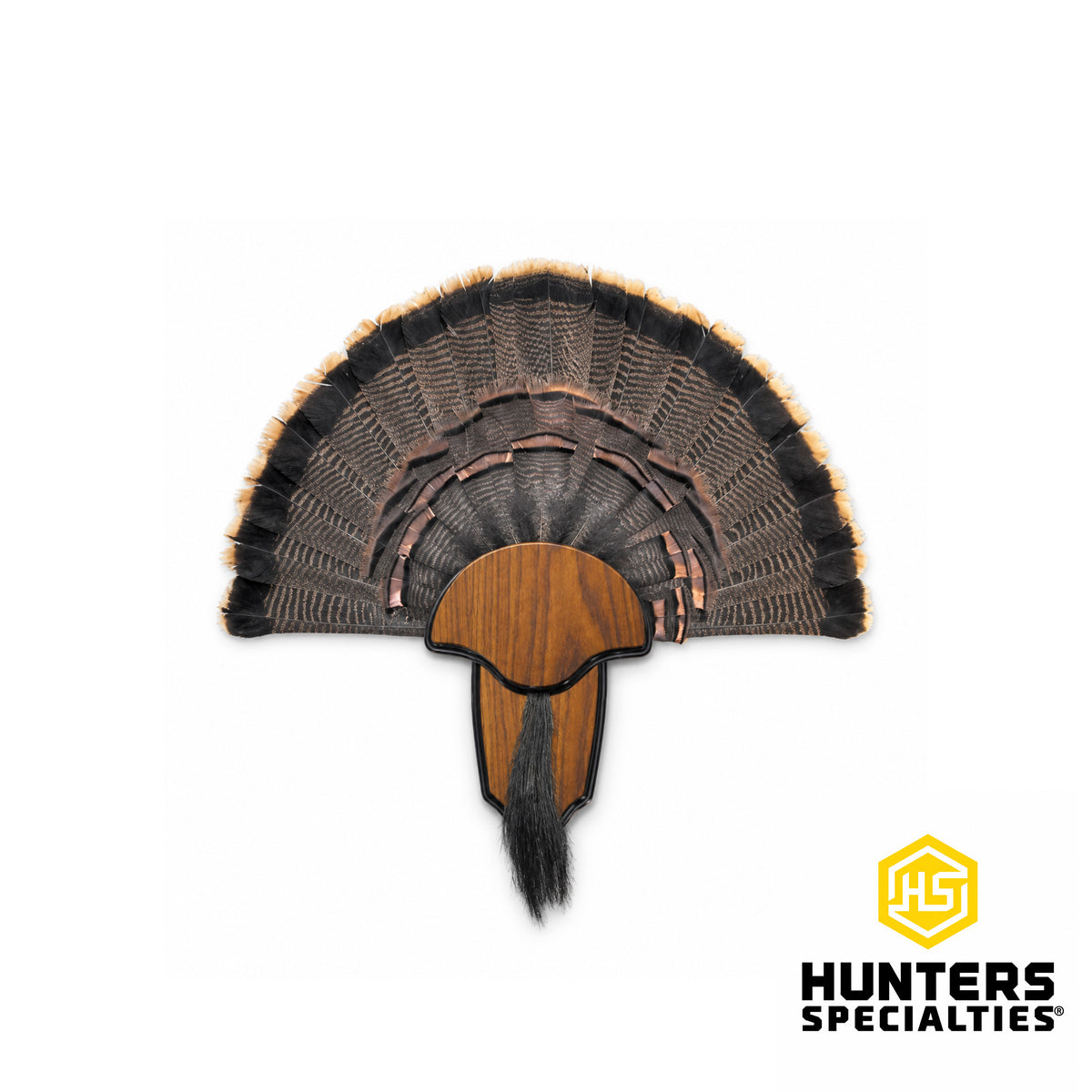 HS Premium Turkey Tail & Beard Trophy Mounting Kit