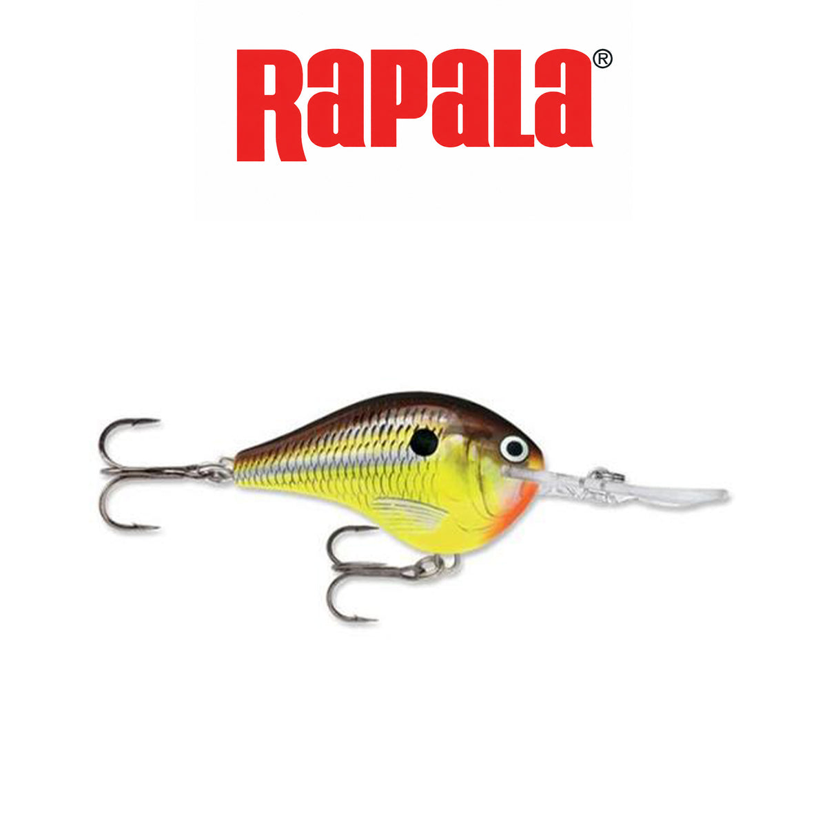 Rapala Dives-To Fishing Lure