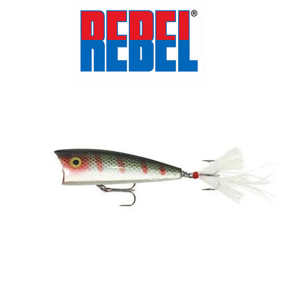 Rebel Zell Rowland Pro Pop-R 2 1/2" 1/4 oz Topwater Popper Fishing Lure