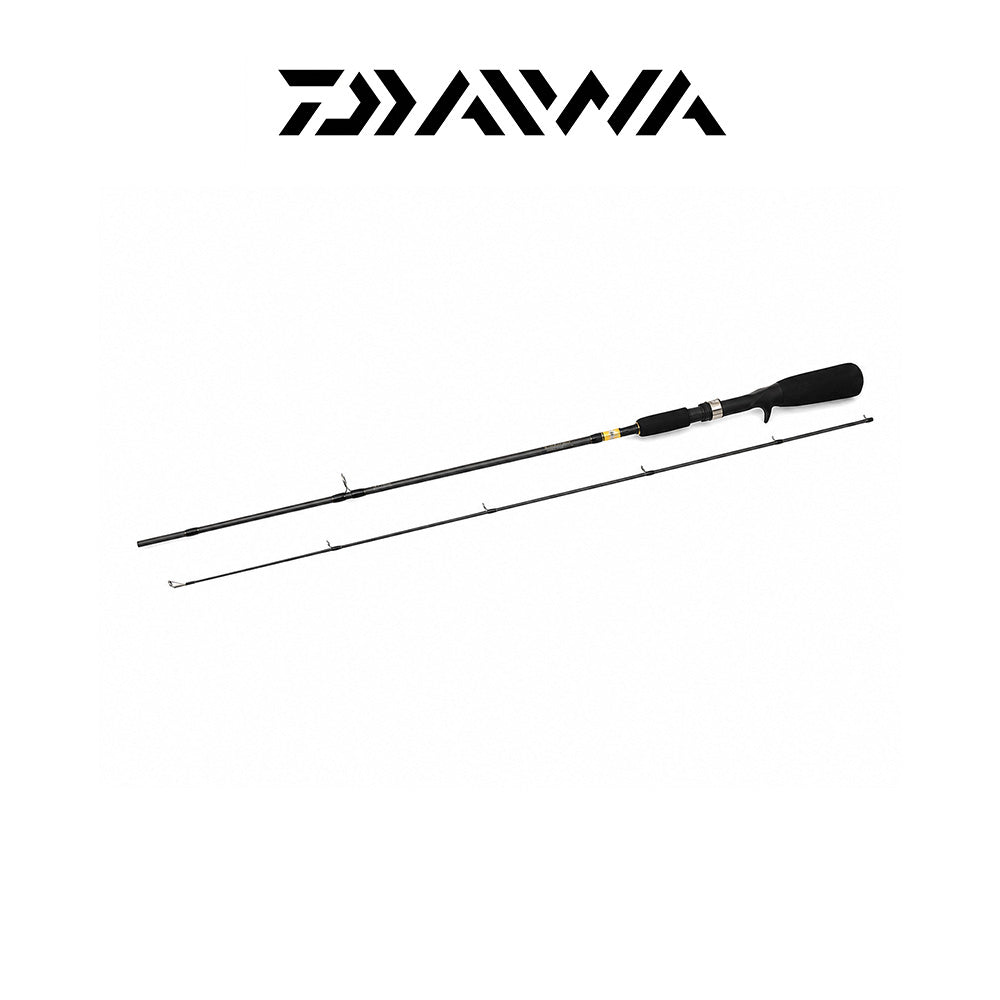 Daiwa Sweepfire 6' Two-Piece Spinning Rod – Medium Power