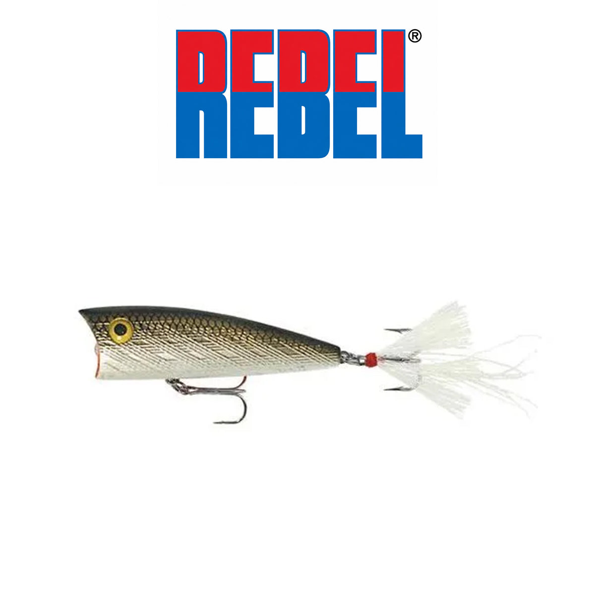 Rebel Pop-R Fishing Lure