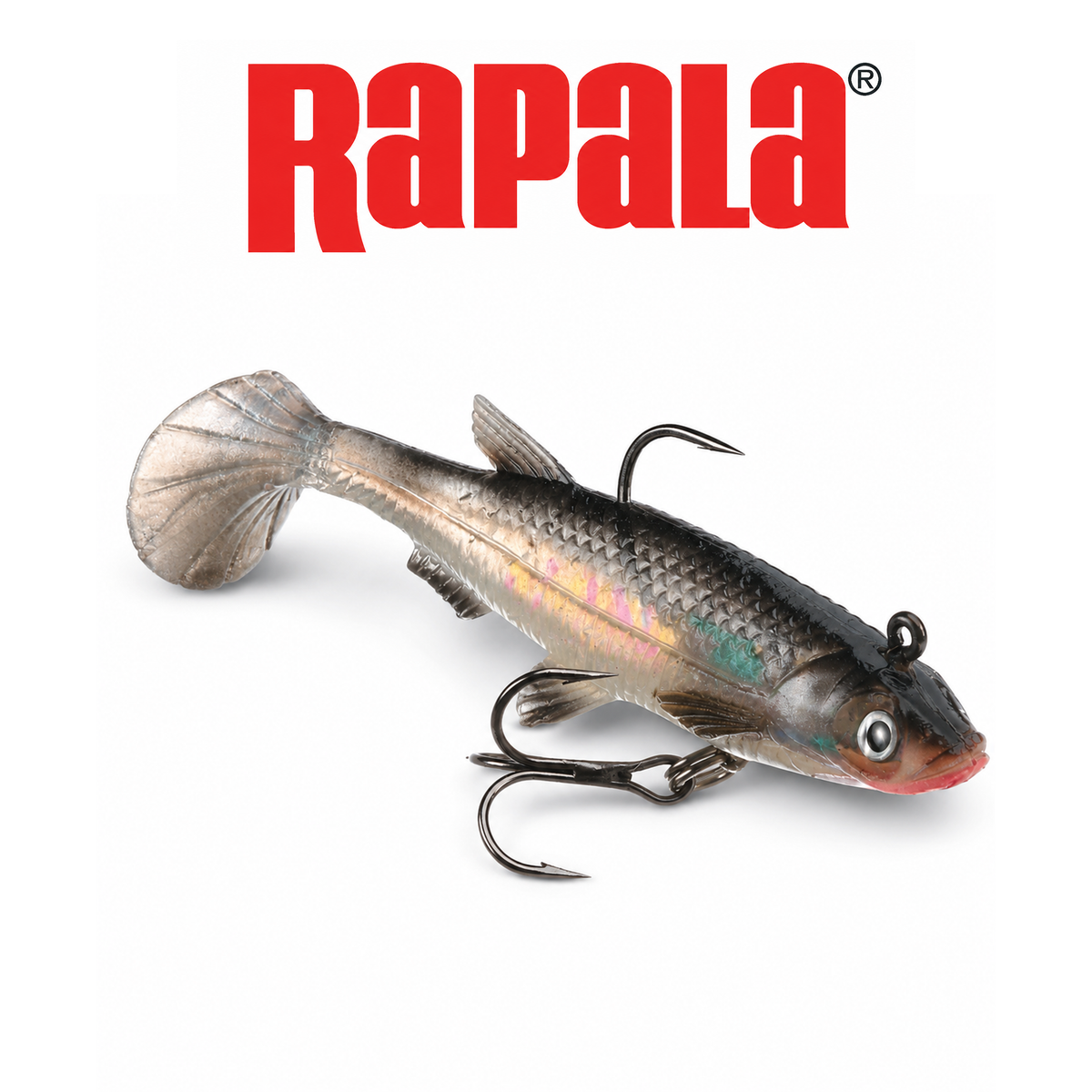 Rapala WildEye Live Premium Realistic Swimbait for Freshwater & Saltwater Fishing