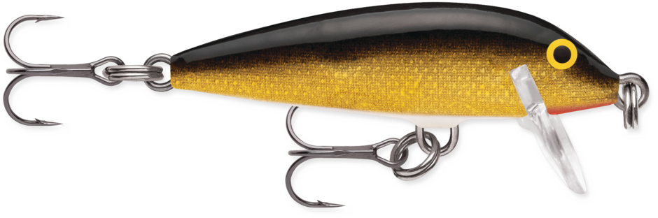 Rapala CountDown Fishing Lure