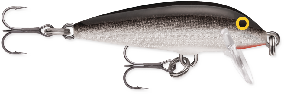 Rapala CountDown Fishing Lure