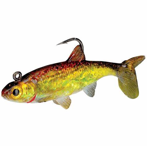 Live-Forage Swimbaits Lure Pack