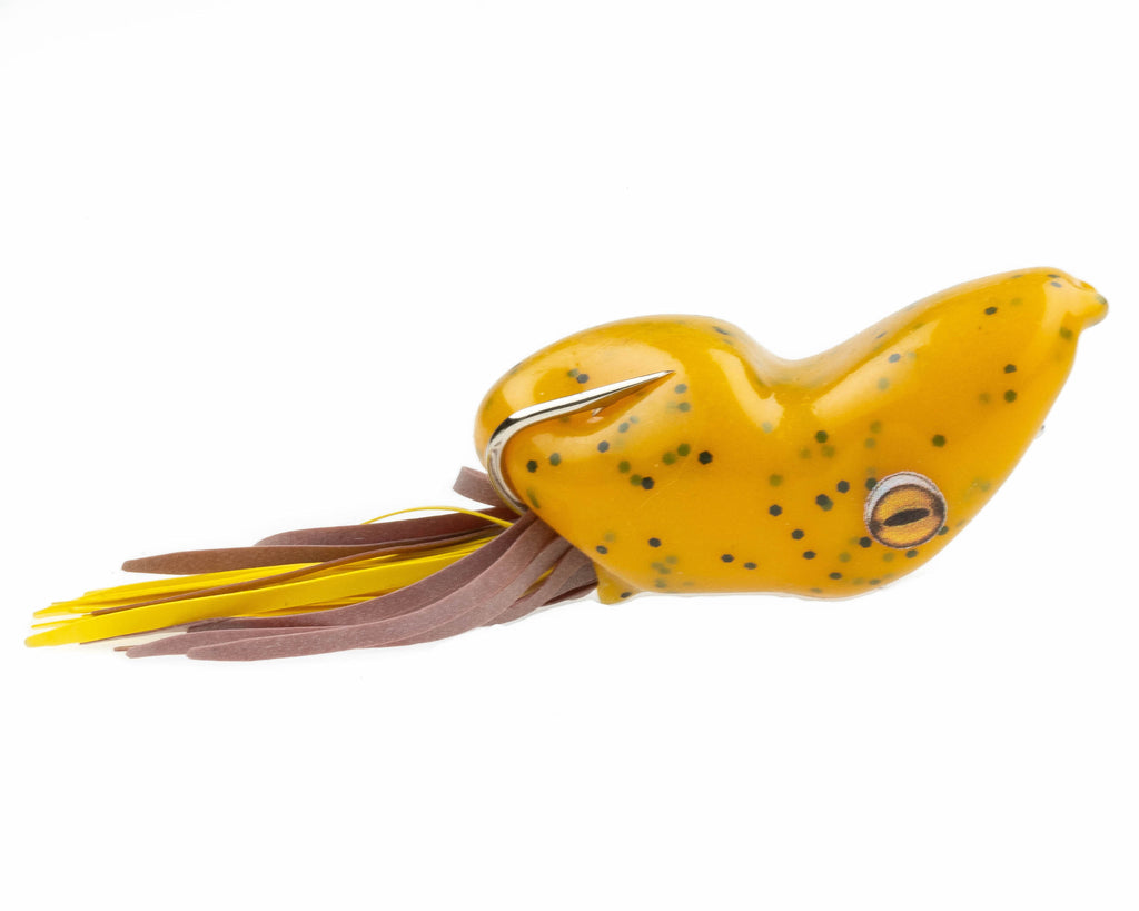 Fishing Popper Lure Bait